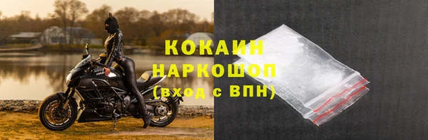 гашик Алзамай