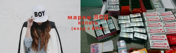 гашик Алексеевка