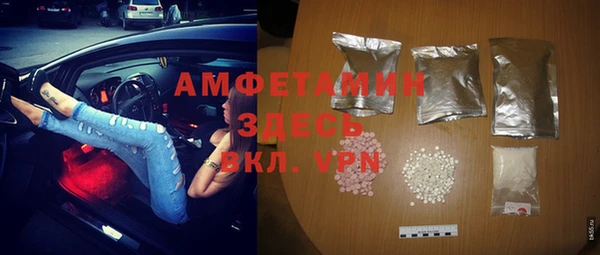 гашик Алексеевка