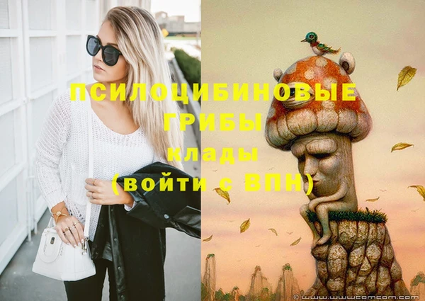 гашик Алзамай