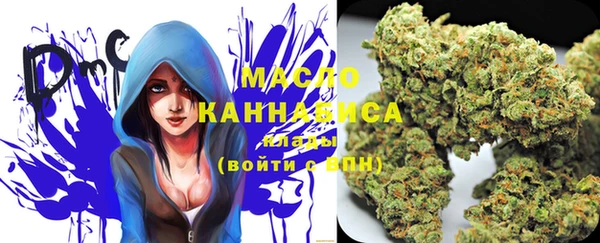 гашик Алексеевка
