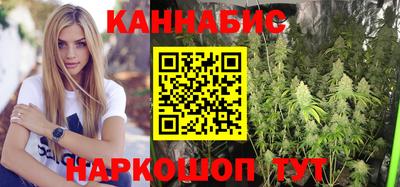 сатива Новокубанск