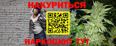 сатива Новокубанск