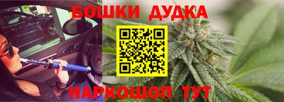 сатива Новокубанск