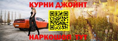 сатива Новокубанск