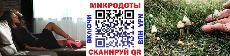 Галлюциногенные грибы GOLDEN TEACHER  купить наркотик  Павлово 
